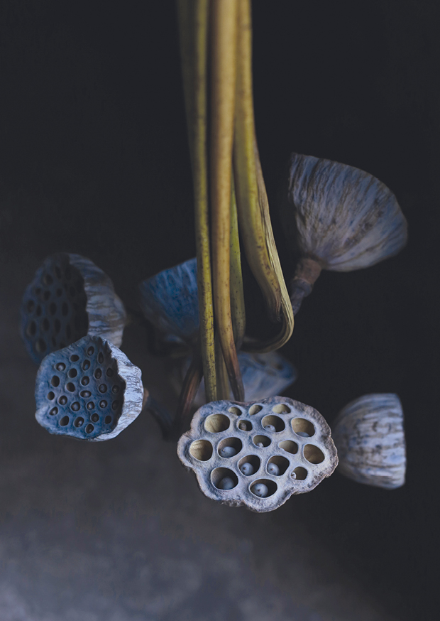 lotus I
