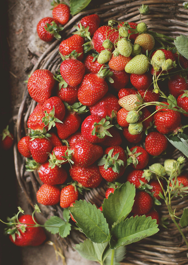 strawberry