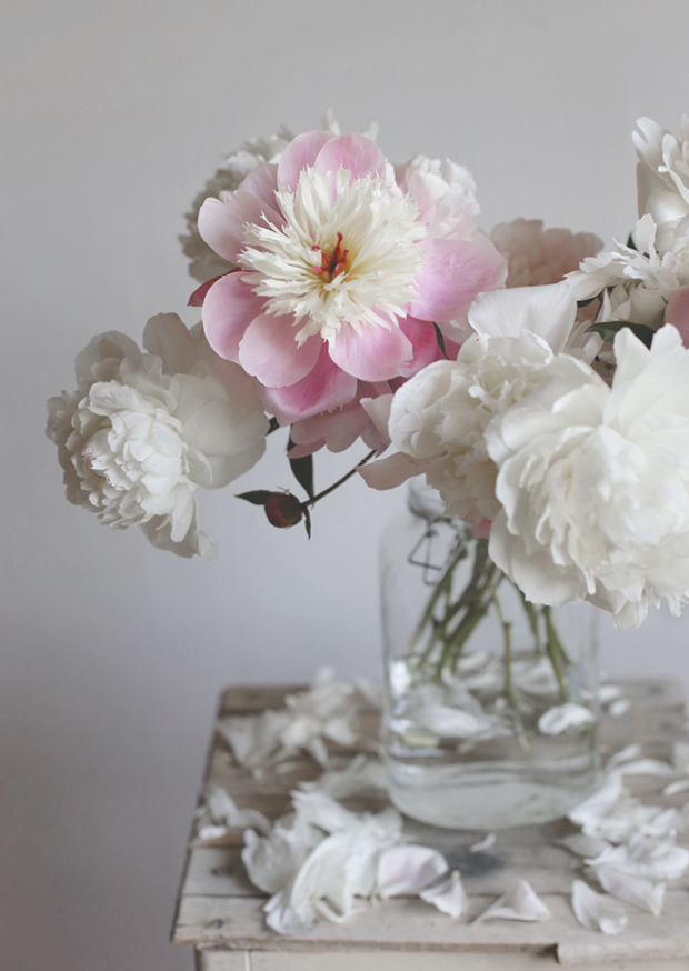 flowerclouds ll