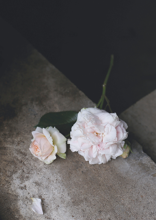 one pretty rose ll