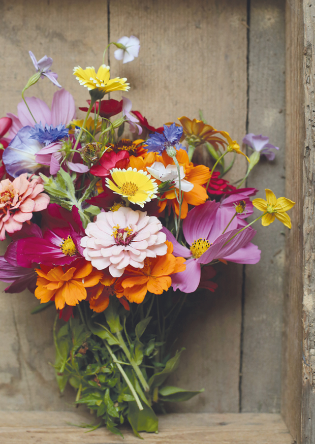 colorful flowerworld