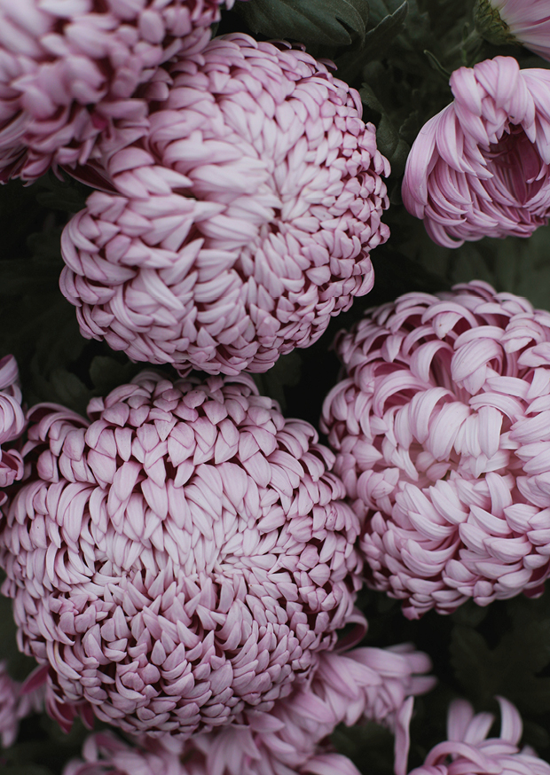 winter florals
