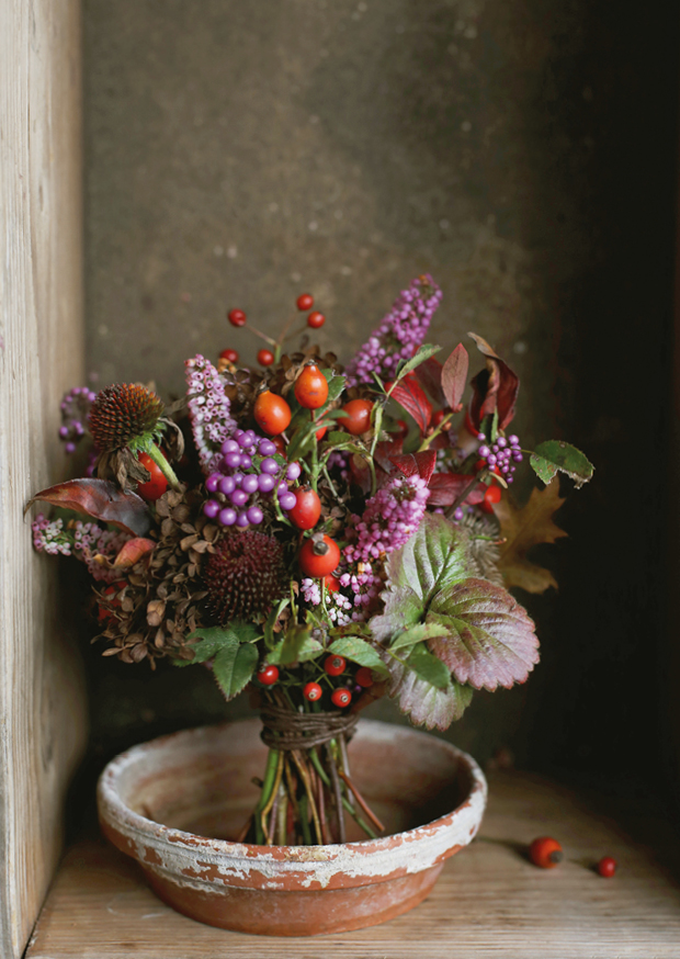 purple and berry l