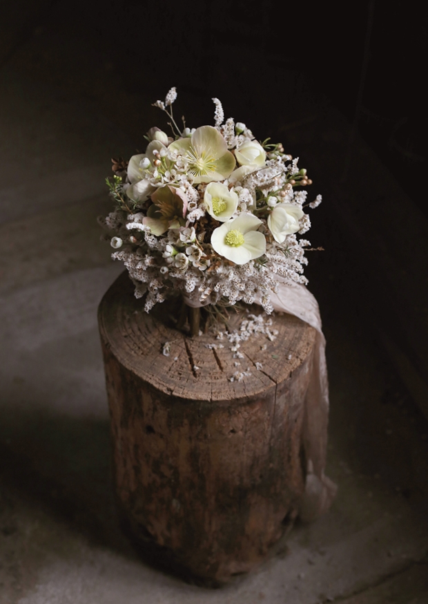 christmas rose