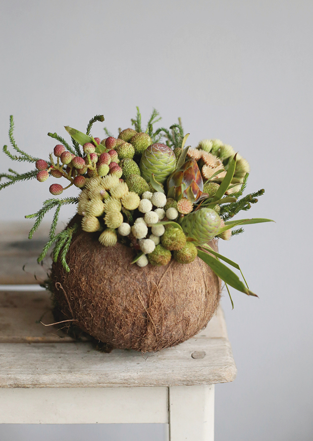 winter nut