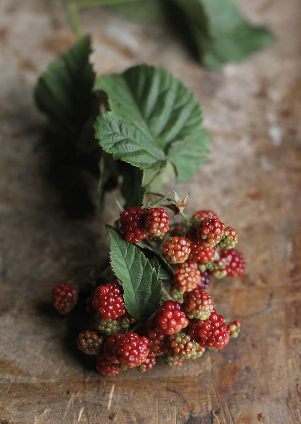 berry