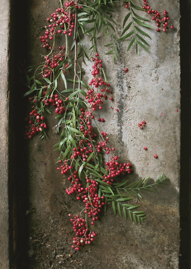 pepperberry