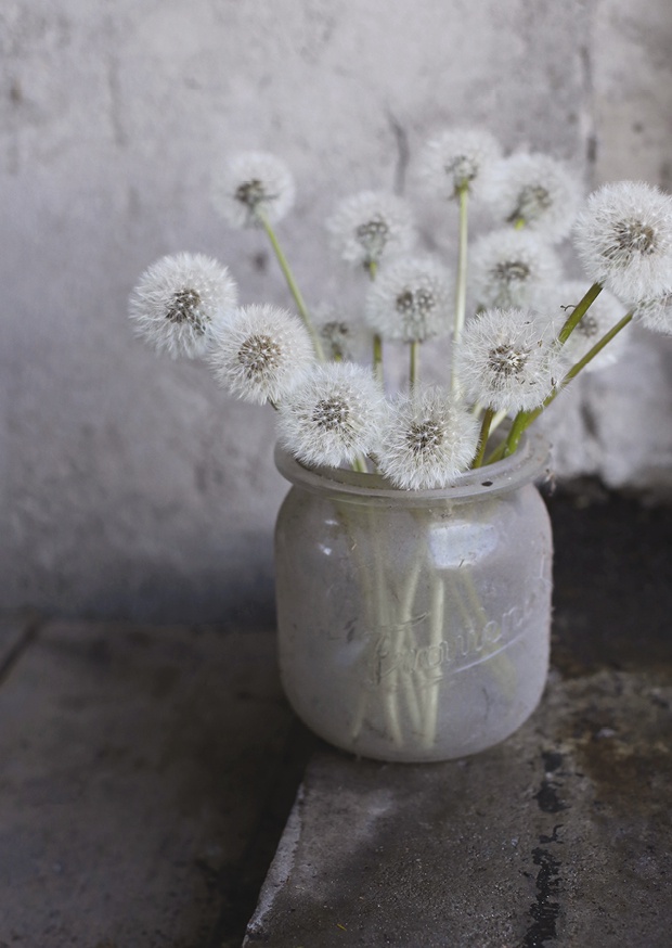 every dream begins with a wish