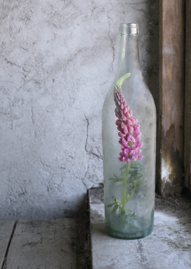 happiness blooms from within