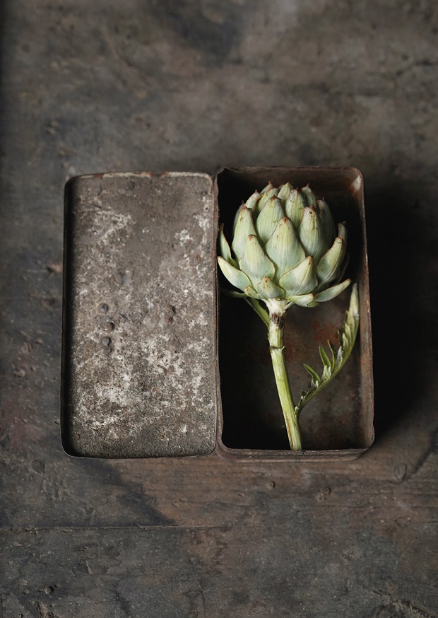 even artichokes have hearts ll