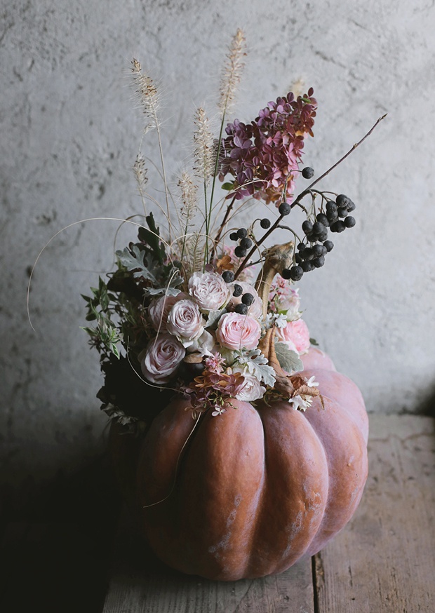 flowering pumpkin ll