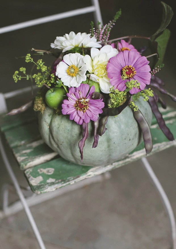 flowering pumpkin l