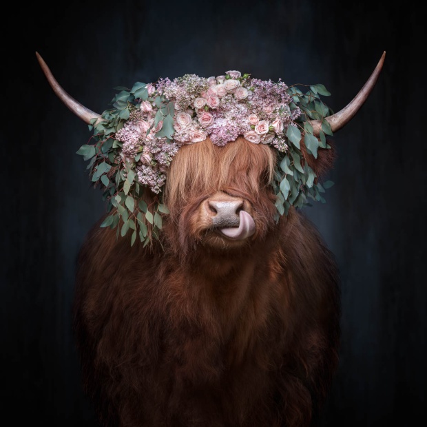 eireen vom kuehlenberg