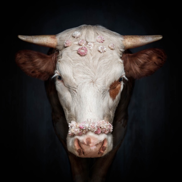 pandora l loeffingen