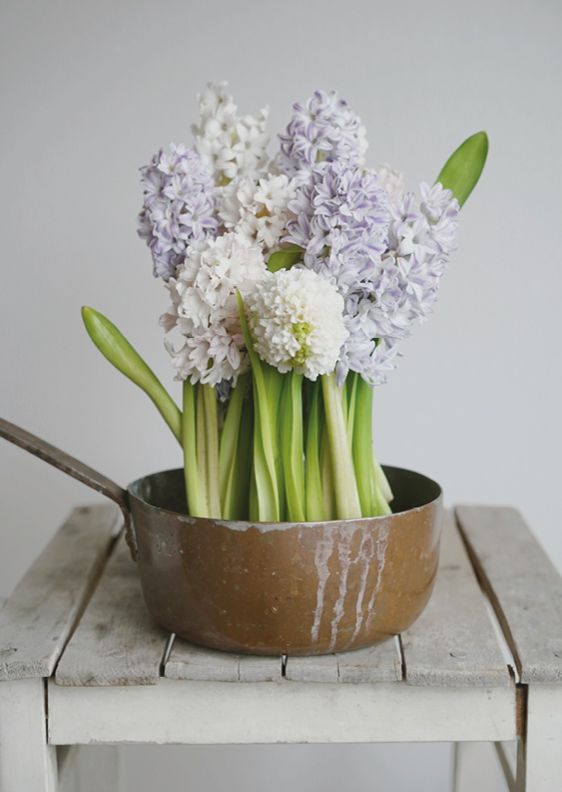 botanical perfume ll