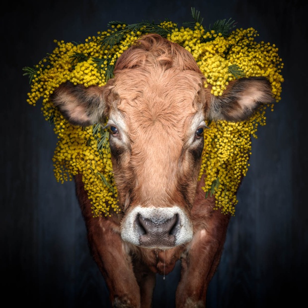 thalita l münstertal