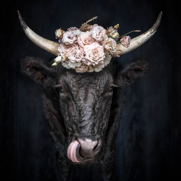 ulrich l st. georgen